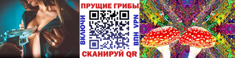 Купить закладки  Сосногорск  Псилоцибиновые грибы GOLDEN TEACHER 